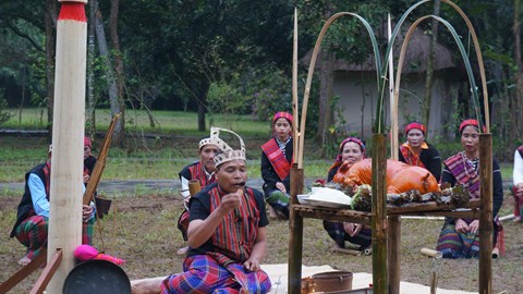 Lễ hội trỉa lúa: Nét đẹp văn hóa của đồng bào Bru - Vân Kiều