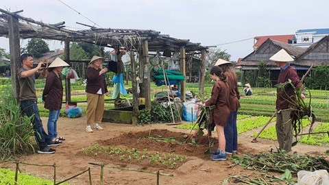 Ngành Du lịch tăng tốc để đạt mục tiêu 25 triệu khách quốc tế năm 2025