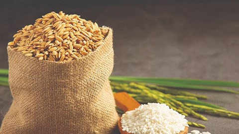 Giá lúa gạo hôm nay 21.9.2025: Ổn định, gạo thơm giữ giá cao