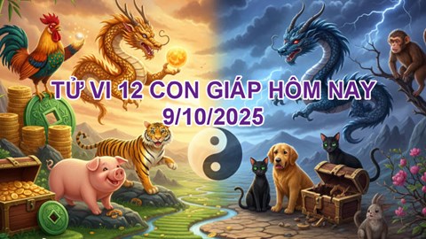 Tử vi 12 con giáp 9.10: Tý thăng hoa sự nghiệp, Dậu cần giữ bình tĩnh