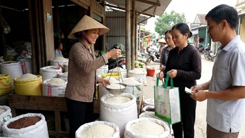 Giá lúa gạo hôm nay 5.12: Nội địa ổn định, xuất khẩu giảm nhẹ