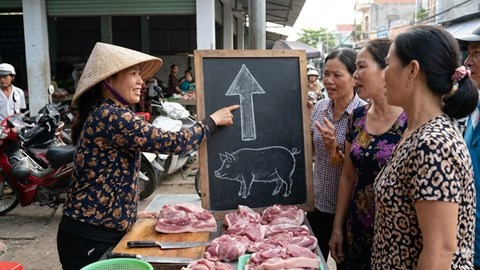 Giá heo hơi hôm nay 6.12: Tiếp tục tăng nhẹ trên cả nước
