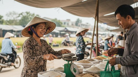 Giá lúa gạo hôm nay 8.12: Nội địa cân bằng, xuất khẩu giảm tốc