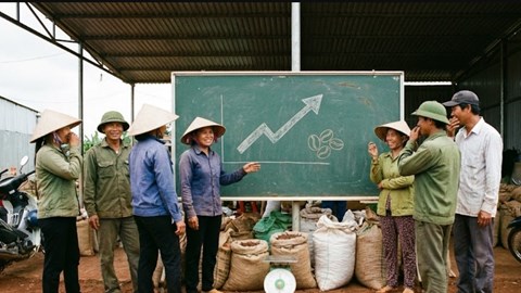 Giá cà phê hôm nay 10.12: giảm xuống dưới 101.000 đồng/kg