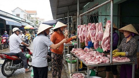 Giá heo hơi hôm nay 23.12: Khó giảm trước Tết