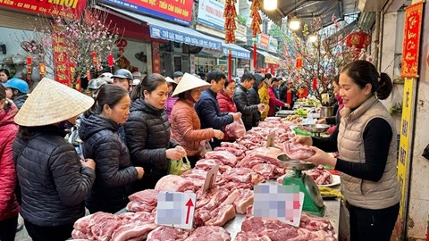 Giá heo hơi hôm nay 25.12: Tiếp tục lập mặt bằng cao mới