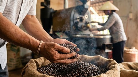 Giá cà phê hôm nay 29.12: Neo cao gần 99.000 đ/kg