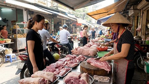 Giá heo hơi hôm nay 29.12: Cao nhưng không còn tăng mạnh