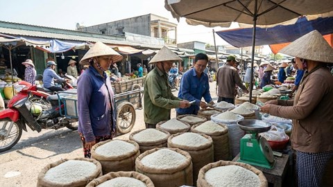 Giá lúa gạo hôm nay 31.12: Trong nước ổn định, xuất khẩu giảm nhẹ