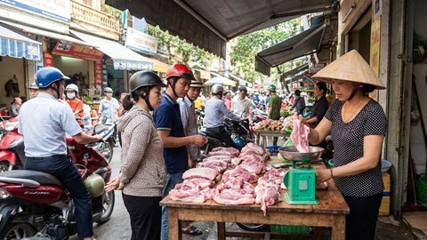 Giá heo hơi hôm nay 10.1 duy trì mức cao