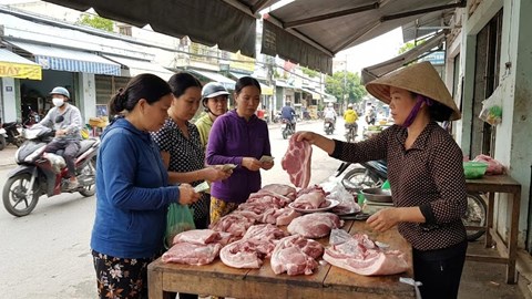 Heo hơi hôm nay 11.1: Xu hướng tăng lan rộng