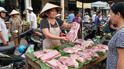 Giá heo hơi hôm nay 14.1.2026: Giá tăng chậm nhưng bền