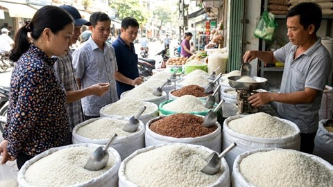 Giá lúa gạo hôm nay 27.1: Lúa tươi ổn định, gạo nguyên liệu giảm nhẹ