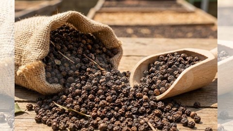 Giá hồ tiêu hôm nay 1.2.2026: Đi ngang trước Tết