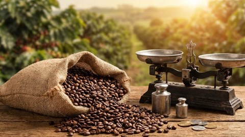 Giá cà phê hôm nay 3.2.2026: Giao dịch trầm lắng nhưng giá vững