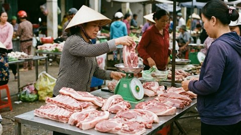 Giá heo hơi hôm nay 5.2 tăng mạnh, miền Bắc giữ đỉnh 81.000 đồng/kg