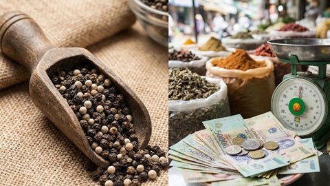 Giá hồ tiêu hôm nay 5.2: Thị trường chững lại trước vụ thu hoạch mới