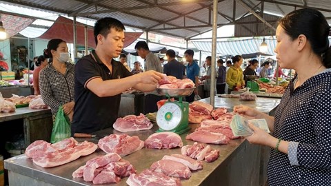 Giá heo hơi hôm nay 10.2: Miền Bắc giữ đỉnh 76.000 đồng/kg