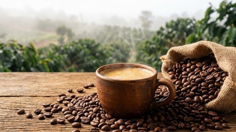 Giá cà phê hôm nay 13.2 tăng nhẹ, thị trường giao dịch dè dặt