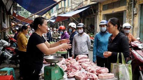 Giá heo hơi hôm nay 13.2: Dao động 71.000 – 74.000 đồng/kg