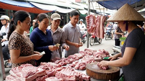 Giá heo hơi hôm nay 14.2: Thị trường trước Tết ít biến động