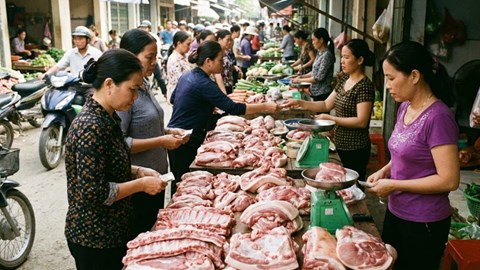 Giá heo hơi hôm nay 25.2: Miền Bắc giữ đỉnh 73.000 đồng/kg