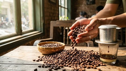 Giá cà phê ngày 1.3: Giữ vững mốc 96.000 đồng/kg đầu tháng