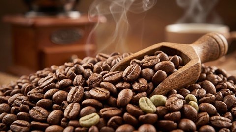 Giá cà phê hôm nay 7.3: Tây Nguyên giữ vững mốc 96.000 đồng/kg