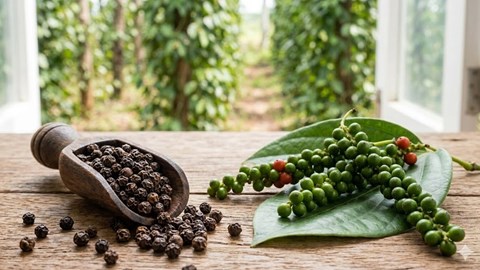 Giá hồ tiêu hôm nay 14.3: Bật tăng tới 2.500 đồng/kg