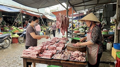 Giá heo hơi hôm nay 29.3: Áp lực giảm xuất hiện ở miền Trung