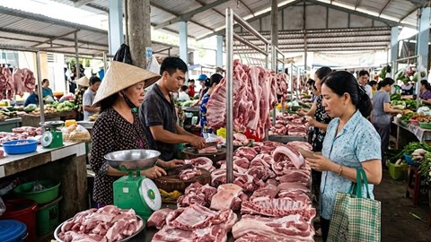 Giá heo hơi hôm nay 30.3: Ổn định trên diện rộng