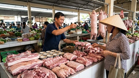 Giá heo hơi hôm nay 31.3: Xuất hiện mức thấp 61.000 đồng/kg