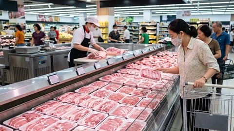 Giá heo hơi hôm nay 20.4: Tín hiệu tăng nhẹ tại miền Bắc