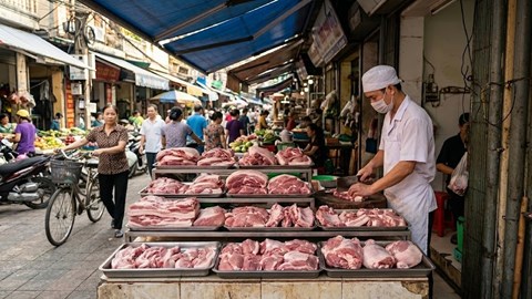 Giá heo hơi hôm nay 7.5: Xu hướng tăng nhẹ tiếp diễn