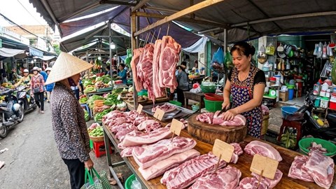 Giá heo hơi hôm nay 8.5: Xu hướng tăng nhẹ vẫn duy trì