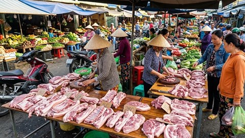 Giá heo hơi hôm nay 9.5: Miền Bắc tăng tốc, miền Trung ổn định