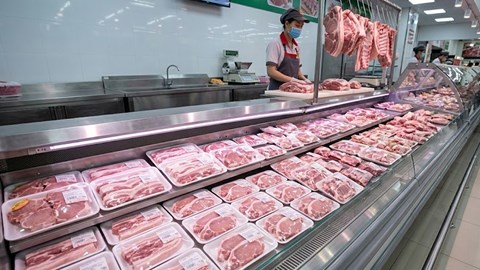 Giá heo hơi hôm nay 17.5: Sức mua ổn định, giá khó giảm sâu