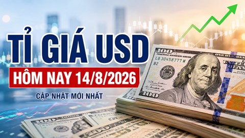 Tỉ giá USD hôm nay 14.8.2026: Giá USD ngân hàng xuống thấp