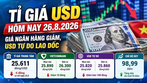 Tỉ giá USD hôm nay 26.8.2026: Giá ngân hàng giảm, USD tự do lao dốc
