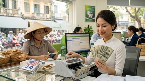 Tỉ giá USD hôm nay 14.9.2026: Vietcombank bán 26.110 đồng, thị trường chờ Fed