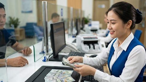 Tỉ giá USD hôm nay 26.9: USD tự do tăng, DXY vẫn trên 101 điểm