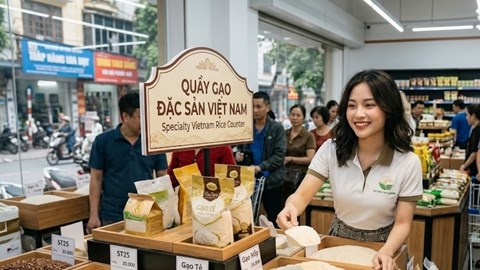 Giá lúa gạo hôm nay 2.10.2026: Nguồn cung ổn định, giá khó bật mạnh