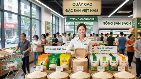 Giá lúa gạo hôm nay 3.10.2026: Thị trường tiếp tục đi ngang