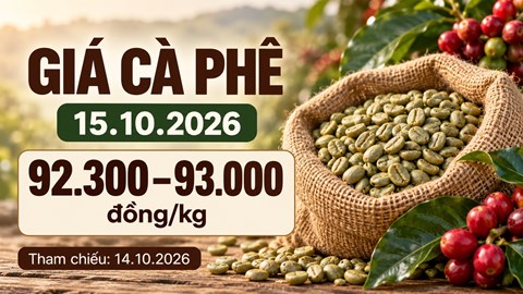 Giá cà phê hôm nay 15.10.2026: Chờ tín hiệu từ sàn London