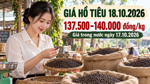 Giá hồ tiêu hôm nay 18.10.2026: Trong nước giữ giá, quốc tế phân hóa