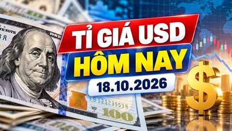 Tỉ giá USD hôm nay 18.10: Đồng bạc xanh có tuần giảm đầu tiên sau 4 tuần tăng