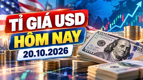 Tỉ giá USD hôm nay 20.10.2026: DXY trở lại sát 102 điểm