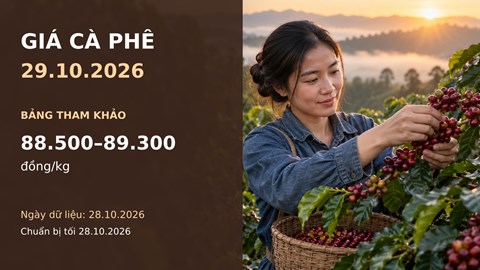 Giá cà phê hôm nay 29.10: Robusta hồi phục, Arabica còn chịu sức ép