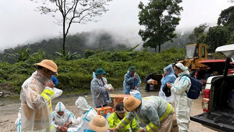 Nỗ lực cứu trợ tài xế mắc kẹt giữa đèo Lò Xo