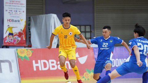 Tám đội dự tranh Giải futsal VĐQG 2026